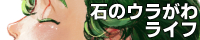 石のウラがわライフ、サイトバナー画像